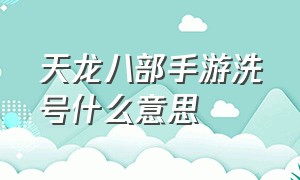 天龙八部手游洗号什么意思