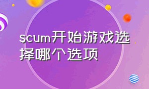 scum开始游戏选择哪个选项（scum开始游戏的三个选项在哪换）