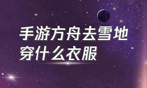 手游方舟去雪地穿什么衣服