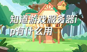 知道游戏服务器ip有什么用