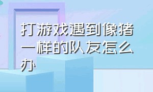 打游戏遇到像猪一样的队友怎么办（打游戏遇到猪队友带不动怎么办）