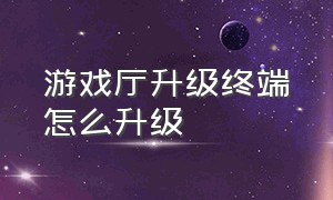 游戏厅升级终端怎么升级（游戏厅升级终端怎么升级不了）