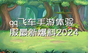 qq飞车手游体验服最新爆料2024