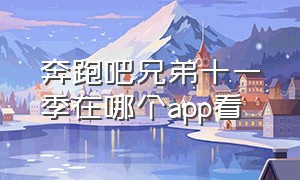 奔跑吧兄弟十一季在哪个app看