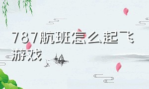 787航班怎么起飞游戏