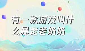 有一款游戏叫什么暴走老奶奶