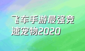 飞车手游最强竞速宠物2020