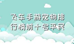 飞车手游宠物排行榜前十名平民