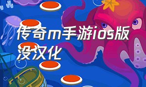 传奇m手游ios版没汉化