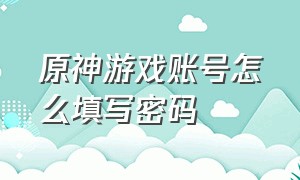 原神游戏账号怎么填写密码（原神游戏账号密码怎么改）