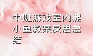 中班游戏室内捉小鱼教案反思总结（幼儿园游戏捕小鱼教案反思）