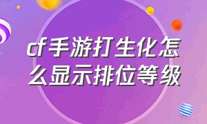 cf手游打生化怎么显示排位等级（cf手游打生化怎么显示排位等级高低）