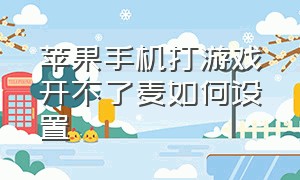 苹果手机打游戏开不了麦如何设置（苹果手机打游戏开麦为啥不能分开）