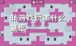 非游戏玩家什么意思