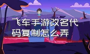 飞车手游改名代码复制怎么弄（飞车手游改名代码复制怎么弄出来）