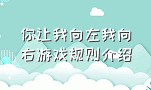 你让我向左我向右游戏规则介绍（你让我向南）