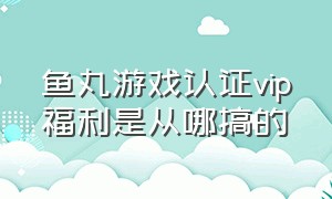 鱼丸游戏认证vip福利是从哪搞的