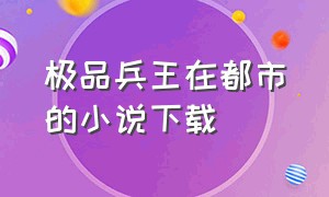 极品兵王在都市的小说下载（超级兵王在都市小说完整txt下载）