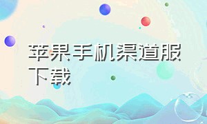 苹果手机渠道服下载