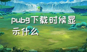 pubg下载时候显示什么（pubg下载到最后下载不了）