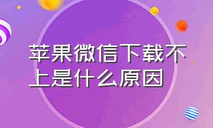 苹果微信下载不上是什么原因