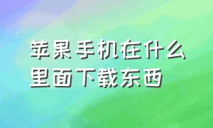 苹果手机在什么里面下载东西