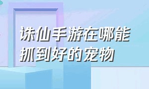 诛仙手游在哪能抓到好的宠物