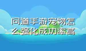 问道手游宠物怎么强化成功率高