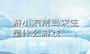 游小浪荒岛求生是什么游戏