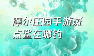 摩尔庄园手游斑点鲨在哪钓