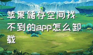 苹果储存空间找不到的app怎么卸载