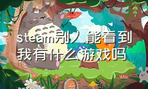 steam别人能看到我有什么游戏吗