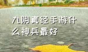 九阴真经手游什么神兵最好（九阴真经手游什么神兵最好打）