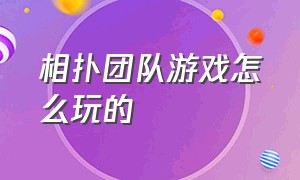 相扑团队游戏怎么玩的