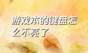 游戏本的键盘怎么不亮了（游戏本的键盘灯怎么让它一直亮）