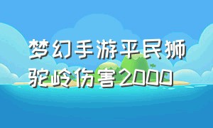 梦幻手游平民狮驼岭伤害2000