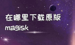 在哪里下载原版 magisk