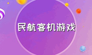 民航客机游戏