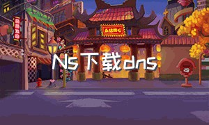 ns下载dns