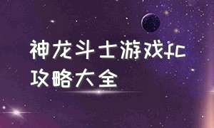 神龙斗士游戏fc攻略大全