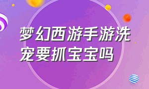 梦幻西游手游洗宠要抓宝宝吗（梦幻西游手游抓宝宝有等级要求吗）