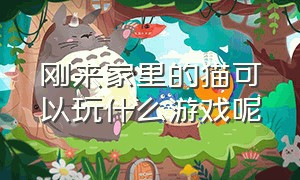 刚来家里的猫可以玩什么游戏呢（刚来家里的猫可以玩什么游戏呢英语）