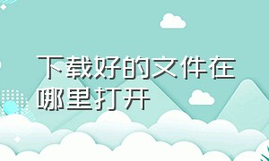 下载好的文件在哪里打开