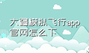 大疆模拟飞行app官网怎么下