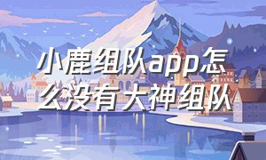 小鹿组队app怎么没有大神组队