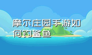 摩尔庄园手游如何钓鲨鱼（摩尔庄园手游如何钓鲨鱼王）