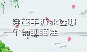 穿越手游ak选哪个辅助瞄准