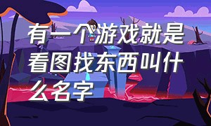 有一个游戏就是看图找东西叫什么名字