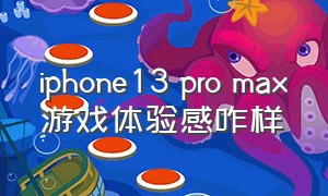 iphone13 pro max游戏体验感咋样（iphone13pro max现在打游戏怎么样）