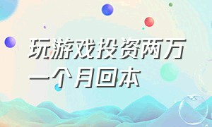 玩游戏投资两万一个月回本